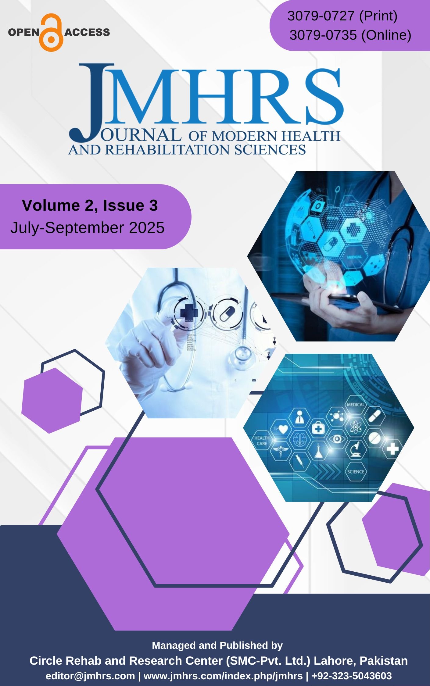 View Vol. 2 (Issue 3), 2025